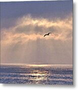 Abundance Metal Print