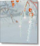 Before The Thaw Metal Print