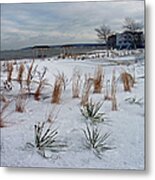 Blowing In The Wind Metal Print