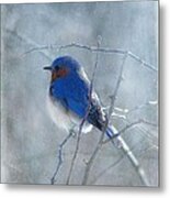 Blue Bird Metal Print