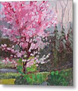 Cherry Tree #2 Metal Print