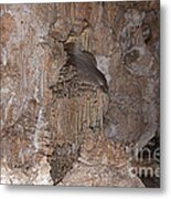 Dolls Theater Carlsbad Caverns National Park #2 Metal Print