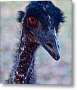 Emu #2 Metal Print