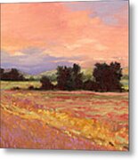 Field Glory Metal Print