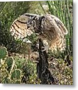 Great Horned Owl #2 Metal Print