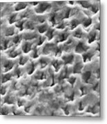 Human Tooth Enamel Surface #2 Metal Print
