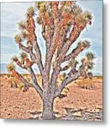 Joshua Tree-nineteenth Of July #3 Metal Print