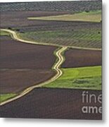 La Mancha Landscape - Spain Series-seis Metal Print