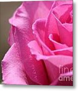 Long-stemmed Pink Rose #4 Metal Print