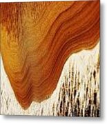 Natural Abstract #2 Metal Print