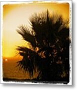 #palmtree #beautiful #love #sky #tree #2 Metal Print