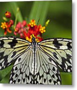 Paper Kite Butterfly #2 Metal Print