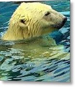 Polar Bear Metal Print