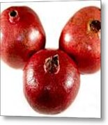 Pomegranate #2 Metal Print