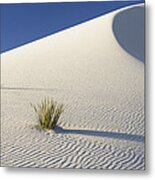 Soaptree Yucca In Gypsum Sand White #2 Metal Print