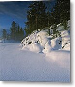 Trees Along A Frozen Lake, Saimaa #2 Metal Print