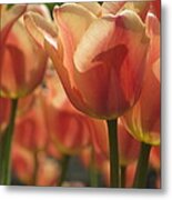 Tulips In Spring #3 Metal Print