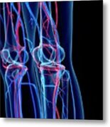 Vascular System Of Knee #2 Metal Print
