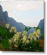 Wild Flowers And Mountains #3 Metal Print