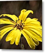 Yellow Flower #2 Metal Print