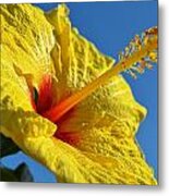 Yellow Hula Girl Hibiscus #2 Metal Print