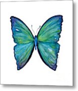 21 Blue Aega Butterfly Metal Print
