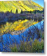 Red Mountain Pass Fall Colors #8 Metal Print