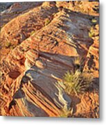 Valley Of Fire #236 Metal Print