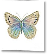 25 Alexis Butterfly Metal Print