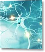 Active Nerve Cells #3 Metal Print