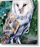 Barn Owl #3 Metal Print