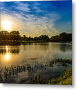 Berry Creek Pond #3 Metal Print