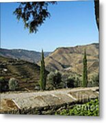 Douro River Valley #3 Metal Print