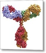 Immunoglobulin G Antibody Molecule #3 Metal Print