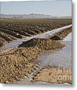 Irrigation In Arizona Desert #3 Metal Print