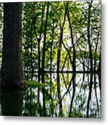 Lake Nokomis In A Wet Spring Metal Print