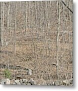 Lyme, Ct, Town Eponymous With Lyme #3 Metal Print