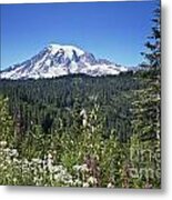 Mount Ranier #3 Metal Print