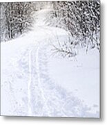 Path In Winter Forest 2 Metal Print