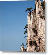 Pine Trees On Huangshan Mountain China #3 Metal Print