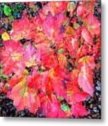 Fall Foliage In New Hampshire #30 Metal Print