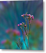 3398 Metal Print