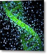 Dna Molecule #36 Metal Print