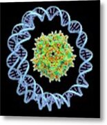 Adeno-associated Virus #4 Metal Print