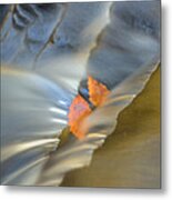 Autumn Color Caught In Time #3 Metal Print