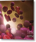 Cells Of The Immune System #4 Metal Print