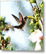 Hummingbird #23 Metal Print