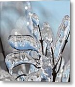 Ice Storm Snowball Bush #4 Metal Print
