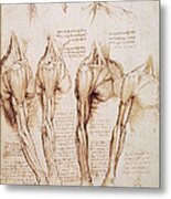 Leonardo: Anatomy, C1510 #4 Metal Print