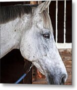 Rocking Horse Stables #4 Metal Print